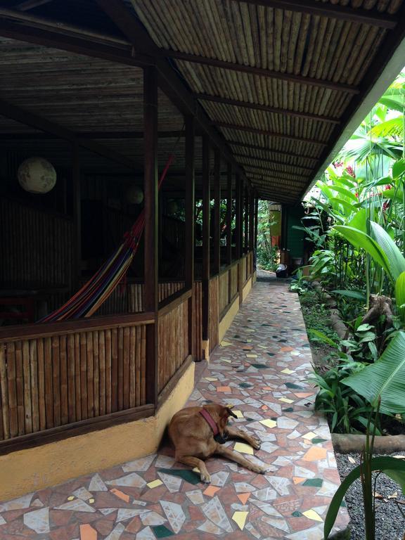 Вілла La Casa De Rolando Puerto Viejo de Talamanca Екстер'єр фото