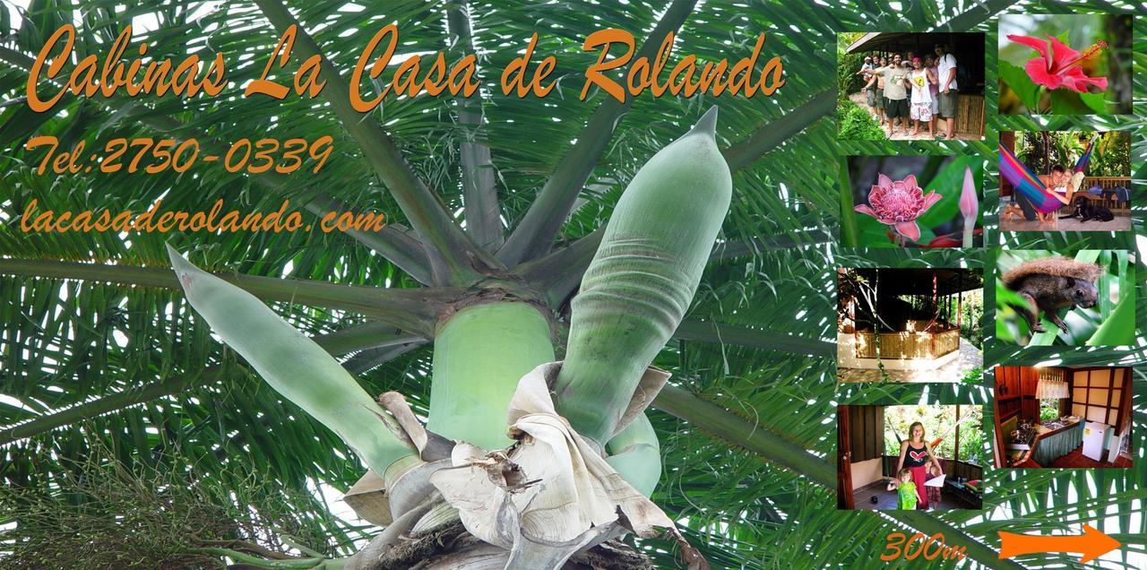Вілла La Casa De Rolando Puerto Viejo de Talamanca Екстер'єр фото